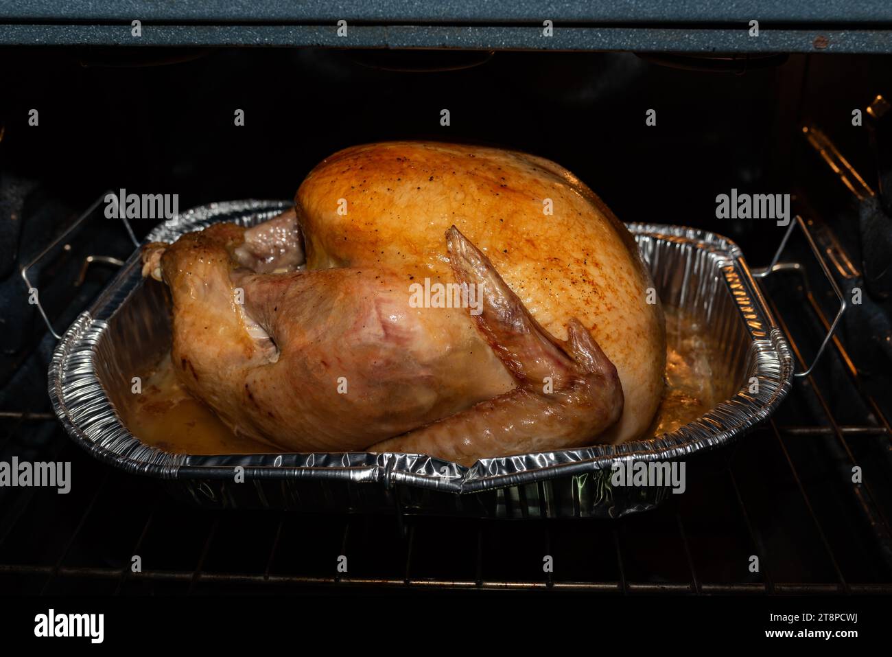 Oven Roasted Turkey in Oven Stock Photo