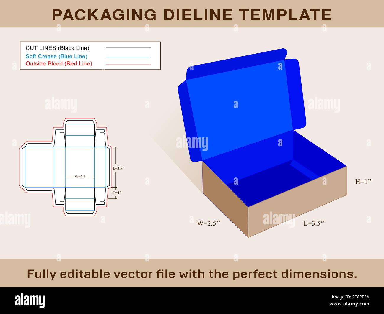 Shipping Box, Ectangle Box, Rectangular Box, Dieline Template, Editable