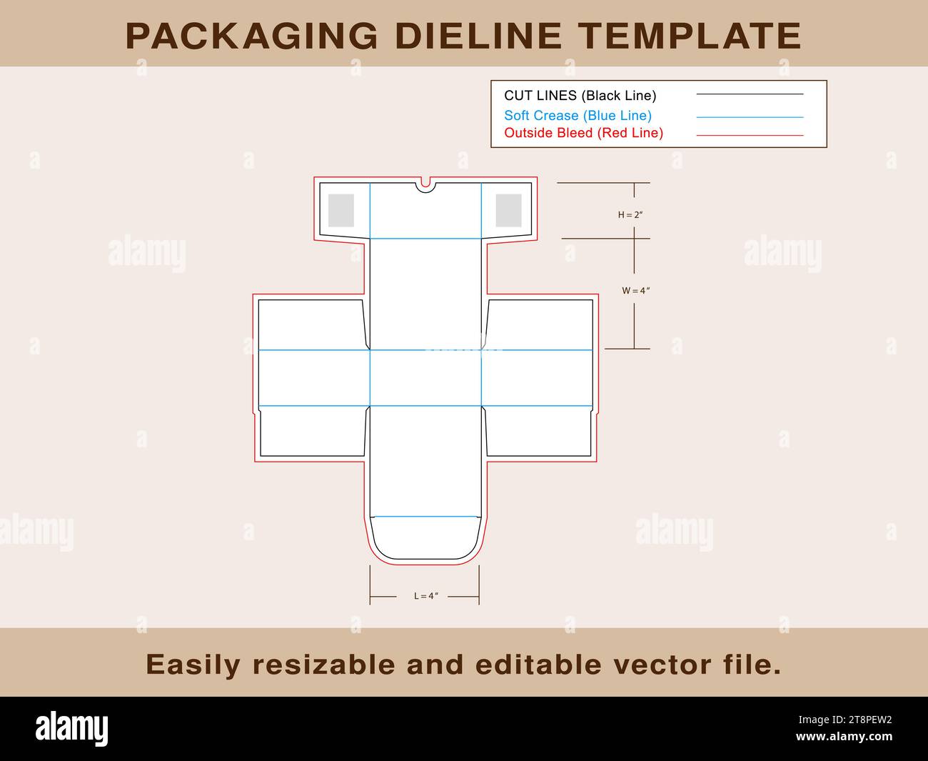 Instructor tuck end Box Die line Template Editable Vector File Stock
