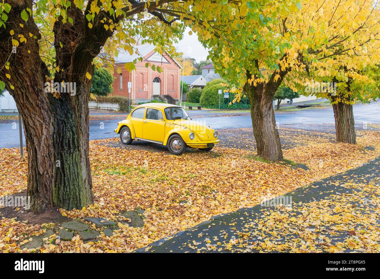 A bright yellow car parked over colourful autumn leaves between elm trees at Maldon in Central Victoria, Australia Stock Photo