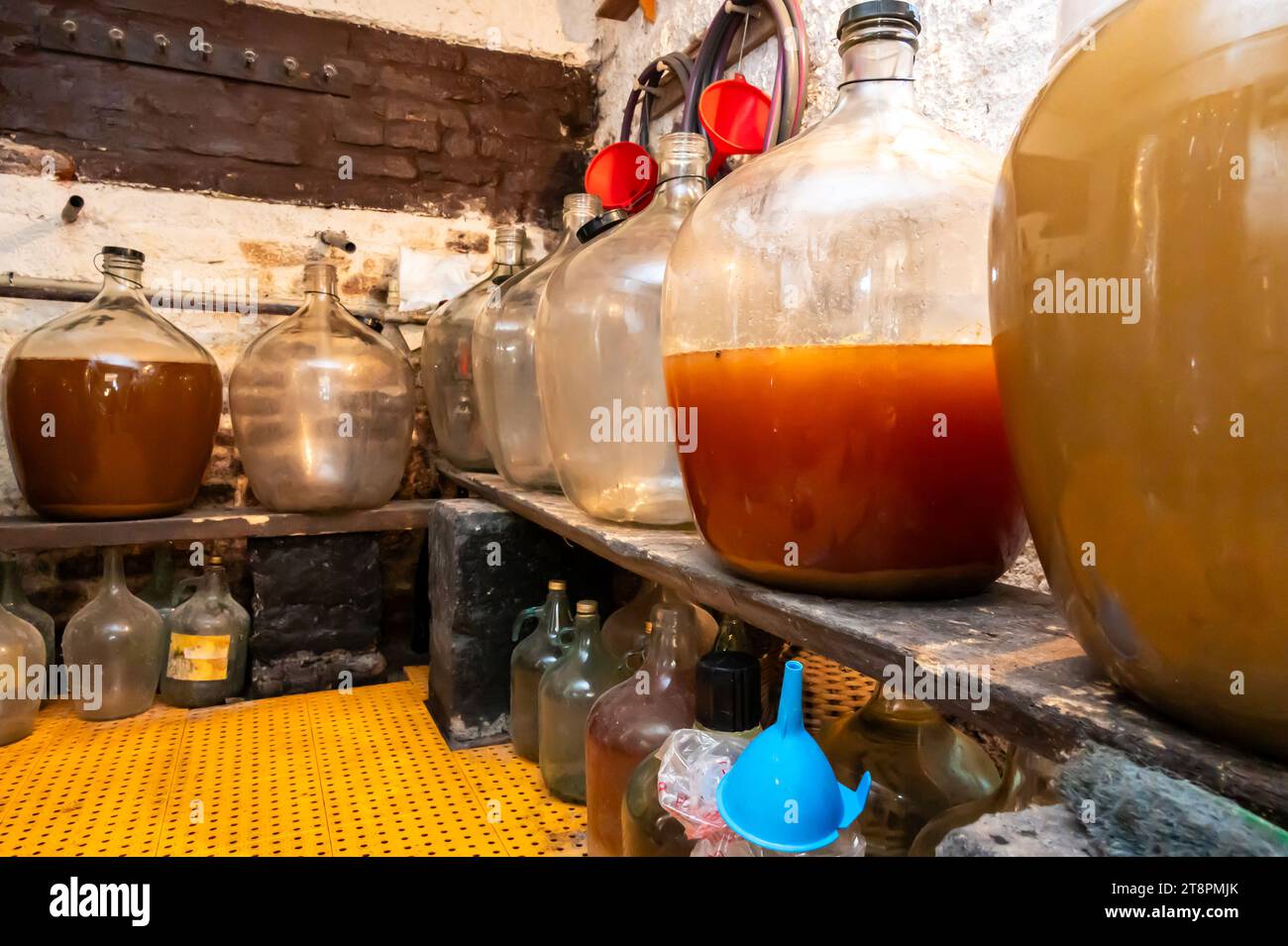 View of old fashioned wine cellar with glass storage for wine during