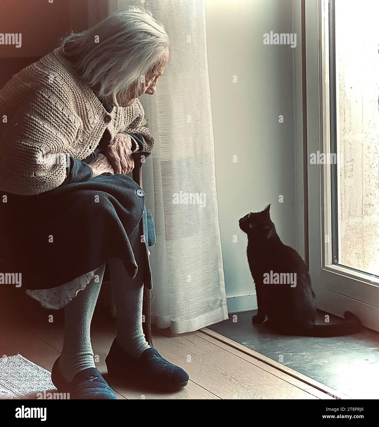 Grandma Cat Hi Res Stock Photography And Images Alamy