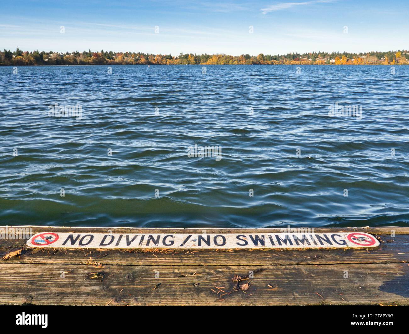 'NO DIVING / NO SWIMMING' sign at end of wooden lake dock in city park with beautiful fall foliage in the distance. Gentle ripples on the lake. Stock Photo