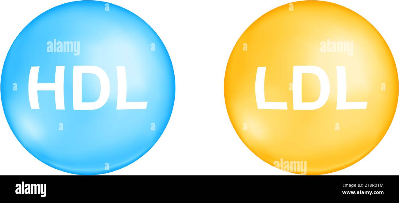 Hdl and ldl cholesterol types good and bad cholesterin concept high
