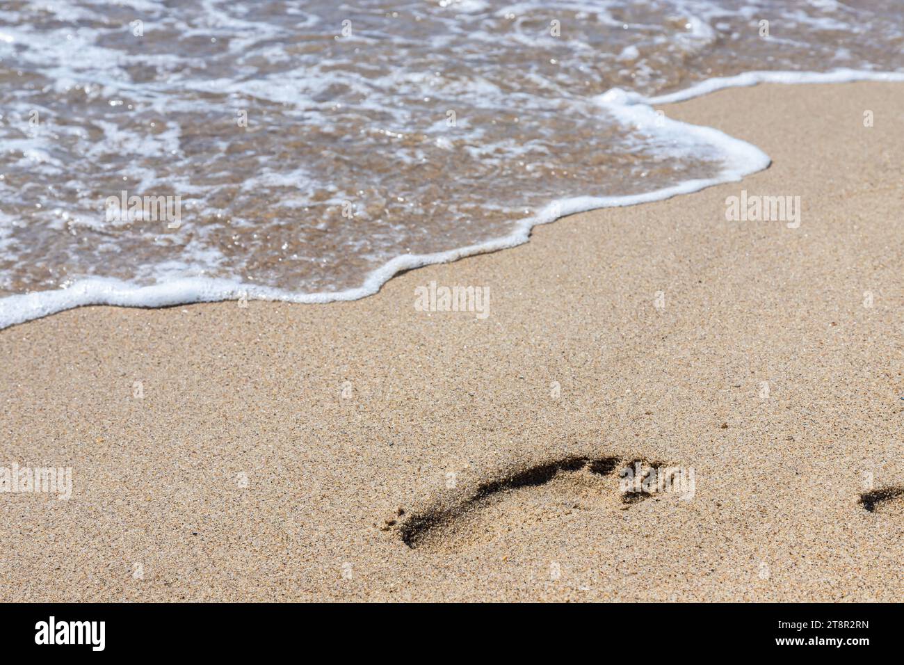 Footprints of a man on the yellow beach sand from walking barefoot by the sea with water that washes away the footprints. Contemplation of life Stock Photo