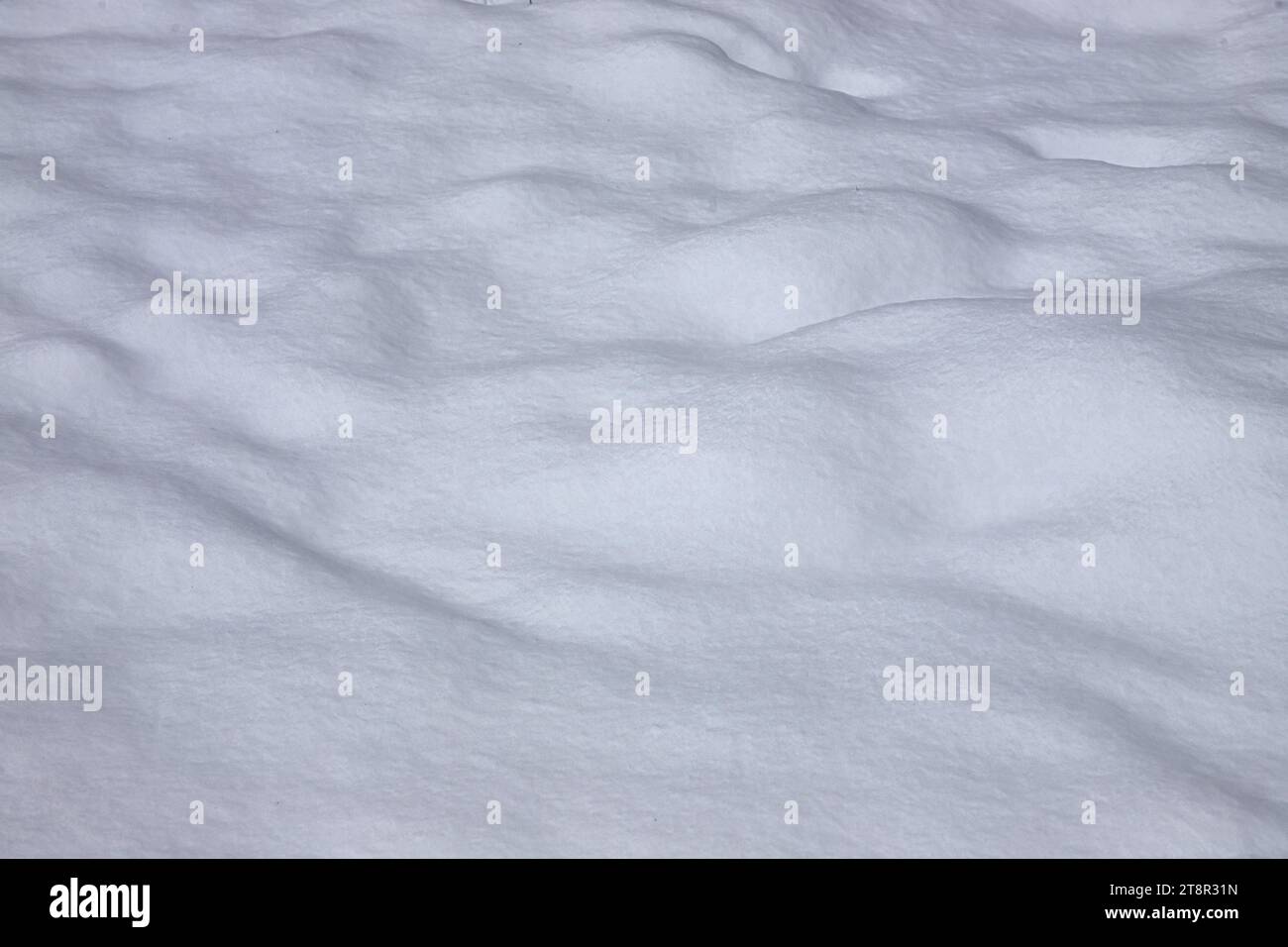 Beautiful winter background with snowy ground. Natural snow texture ...