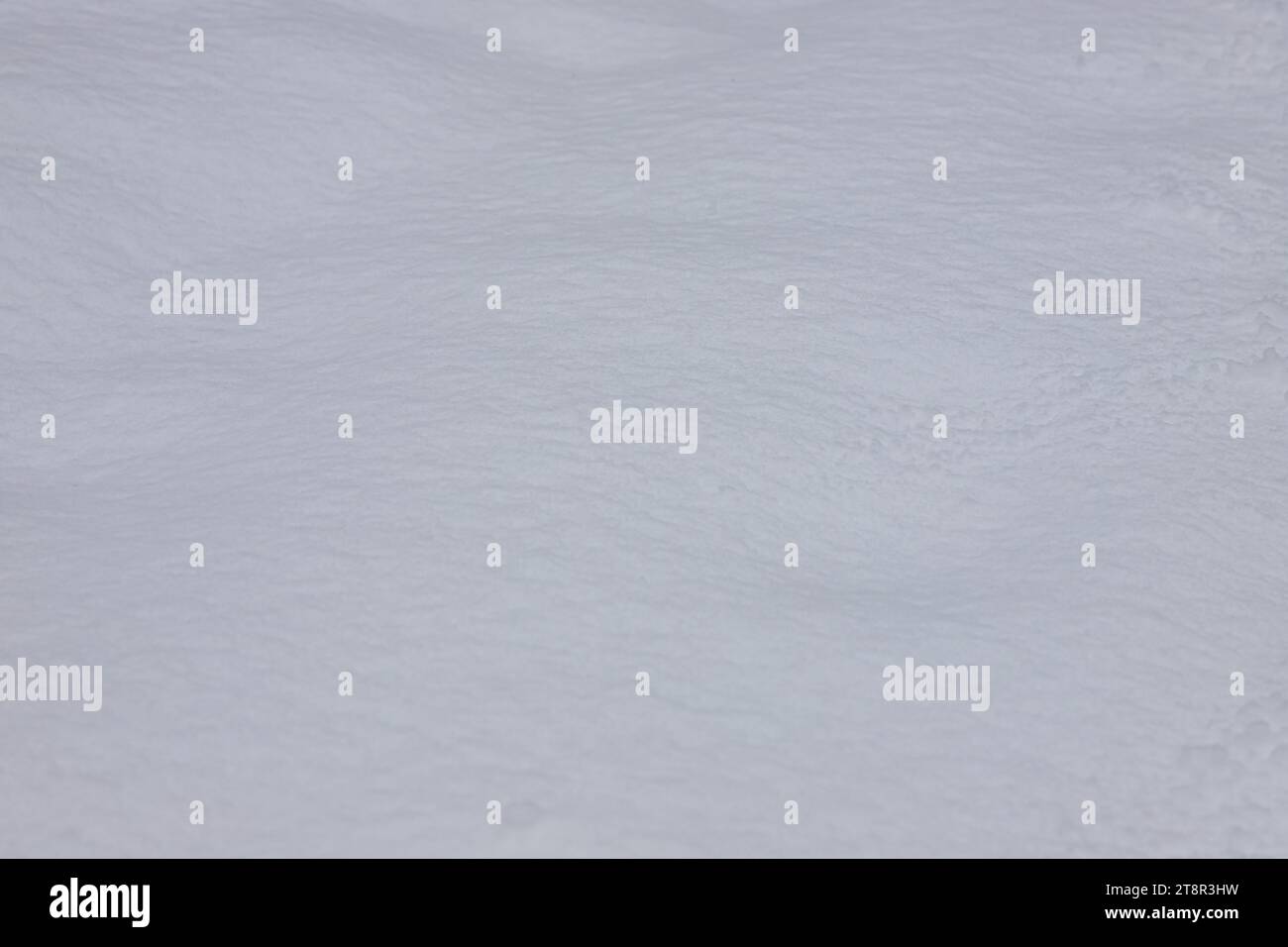 Beautiful winter background with snowy ground. Natural snow texture ...