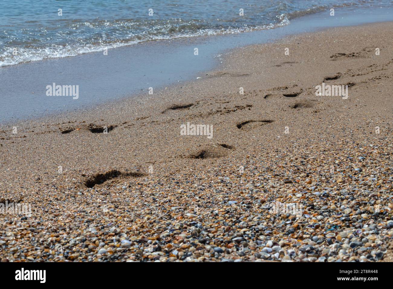 Footprints of a man on the yellow beach sand from walking barefoot by the sea with water that washes away the footprints. Contemplation of life Stock Photo