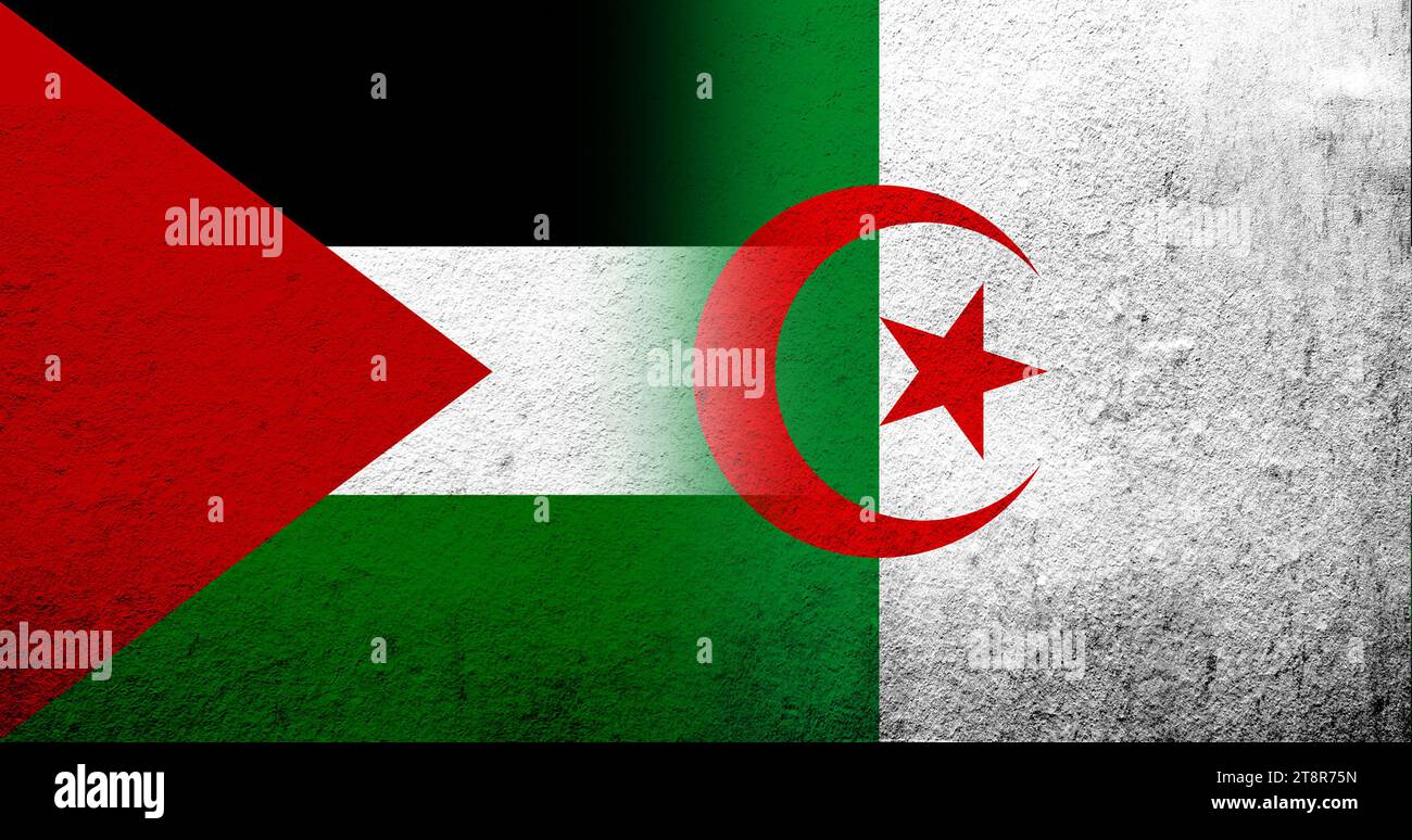 Flag of Palestine and Republic of Algeria national flag. Grunge