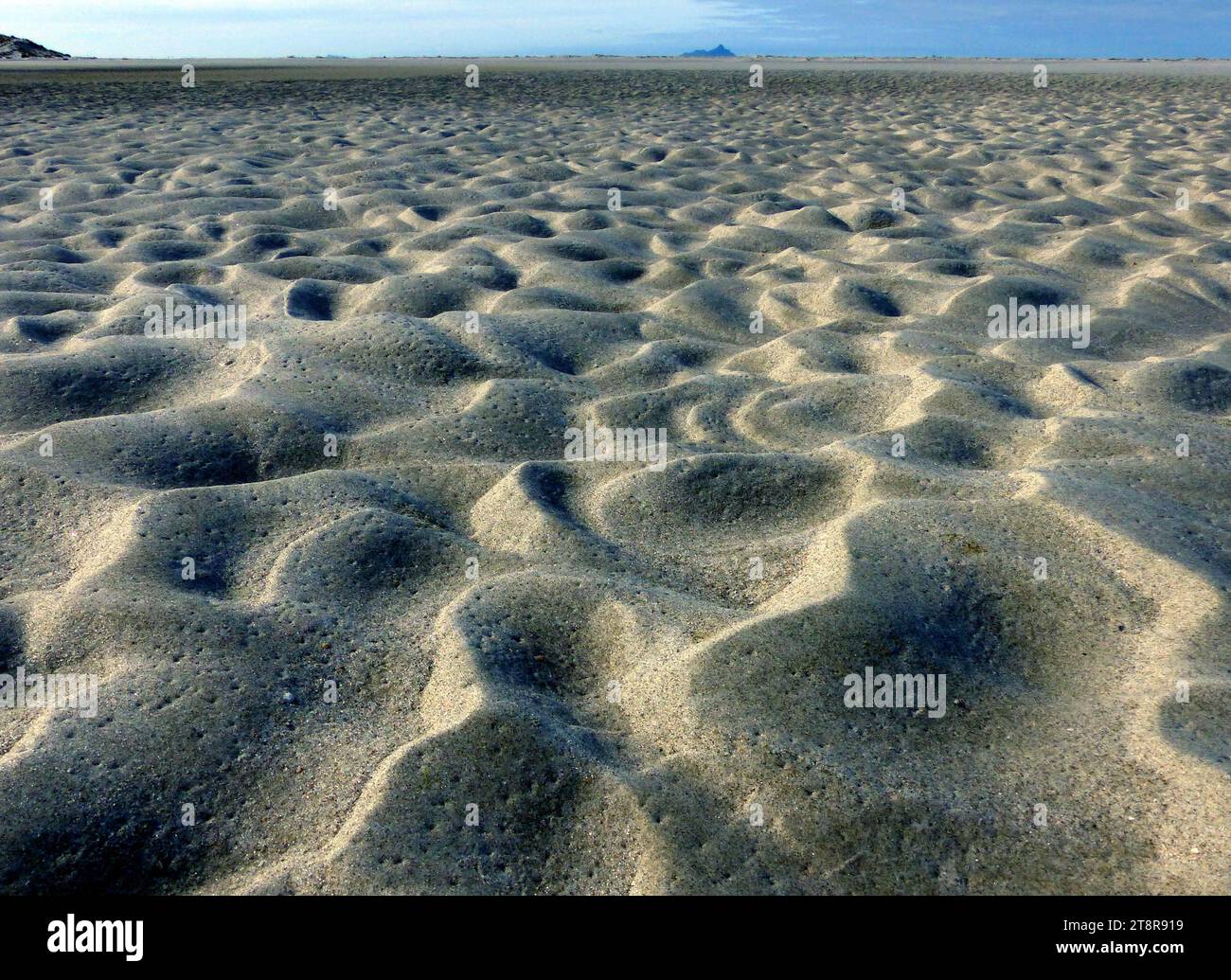 Ripples in the Sand, Why do regular, wavelike shapes form when the wind
