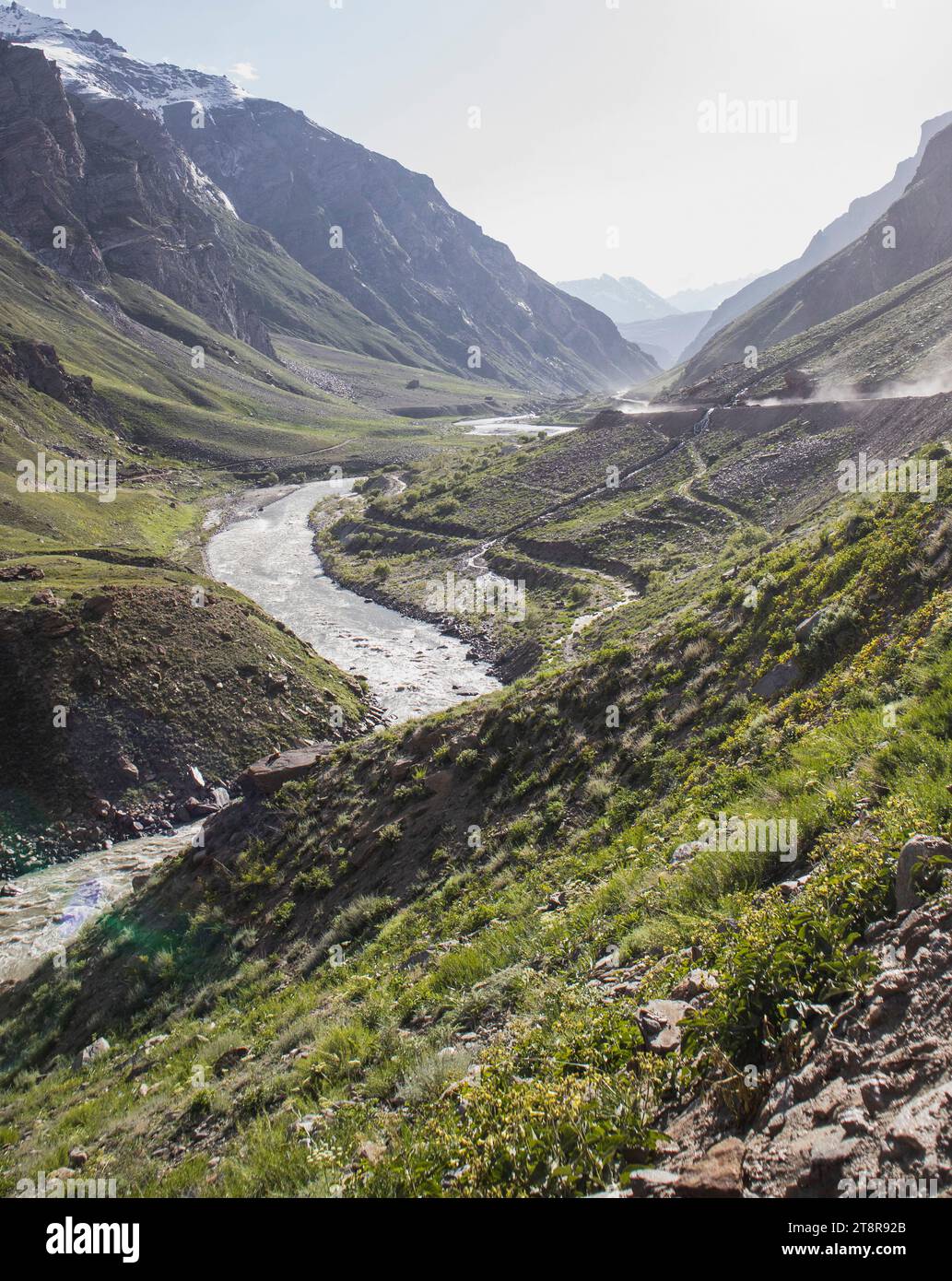 Fresh Stream with lush green patch alongside at golden hour Stock Photo