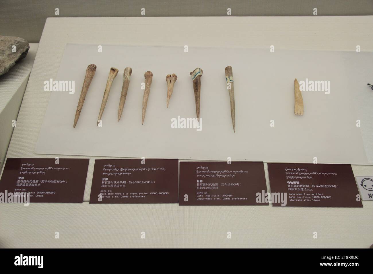 Neolithic Bone Awls, Tibetan History Gallery, Tibet Museum, Lhasa Stock