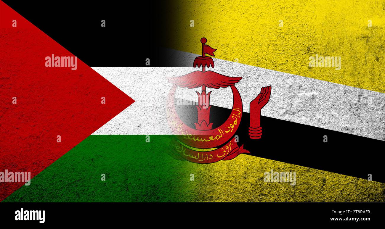Flag of Palestine and the Nation of Brunei, the Abode of Peace National flag. Grunge background Stock Photo