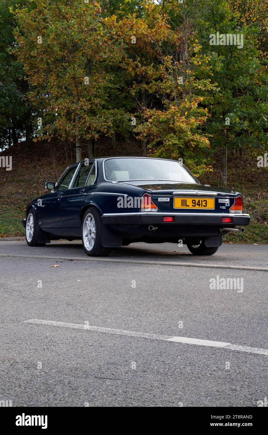 Pre-Owned 1874 London Mint Victoria Young Head Full Sovereign Gold Coin | Out Of Stock | Atkinsons Bullion Australia