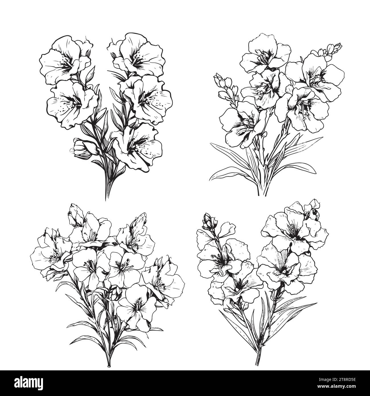 Larkspur set . Flower, stem, bud and leaf in black, Floral details in contour style with ornate Delphinium, july birth flower larkspur drawing. Stock Vector