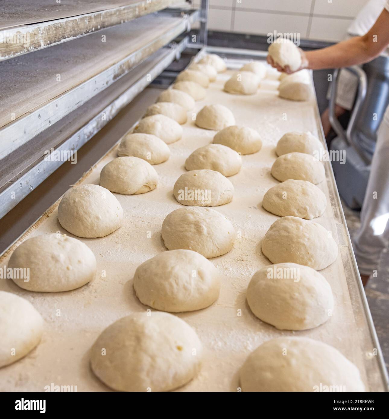 Industrial production of bakery products. Bread dough in bakery Stock