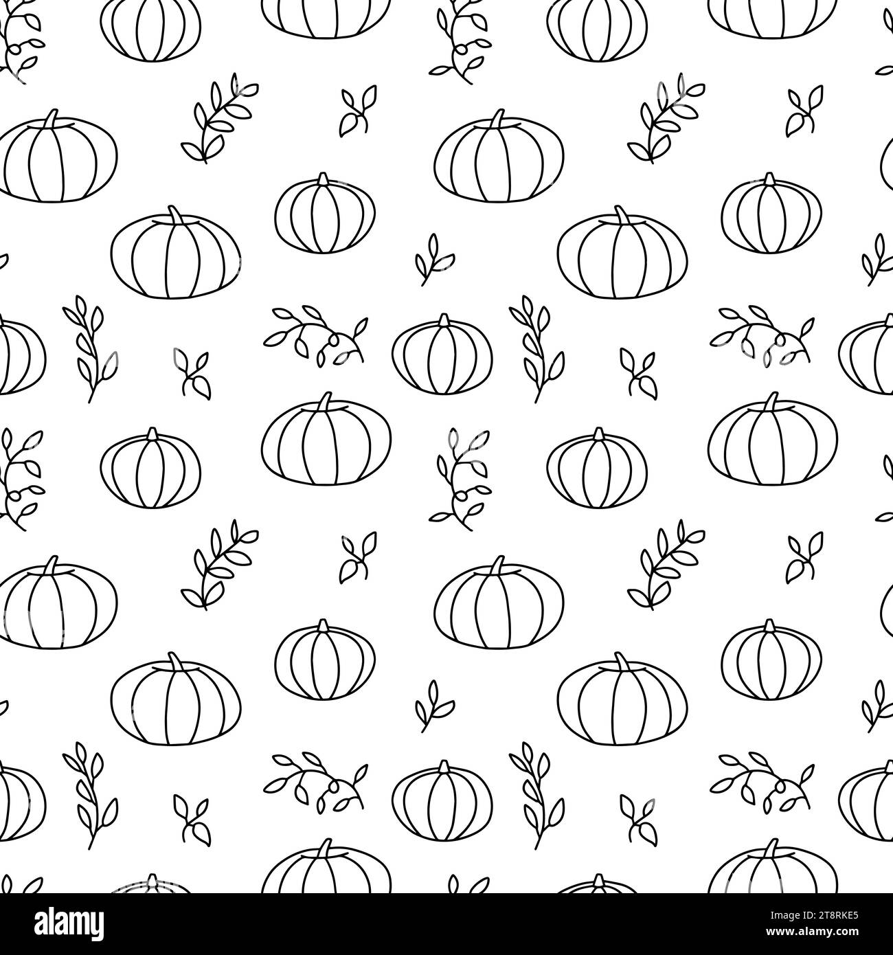 Pumpkin plant Black and White Stock Photos &amp; Images - Alamy