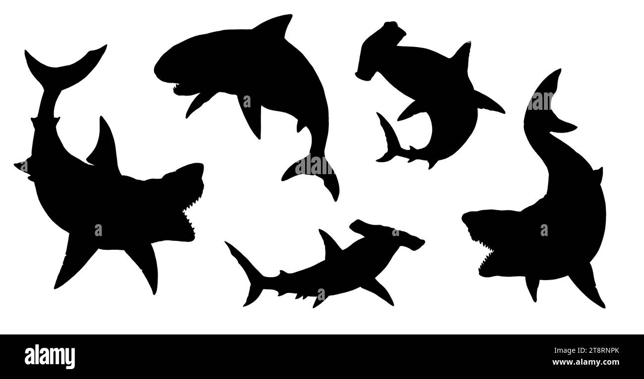 Set with sharks silhouettes: great white shark, megalodon, mako and hammerhead shark. Hand drawn illustration to cut out and glue. Stock Photo