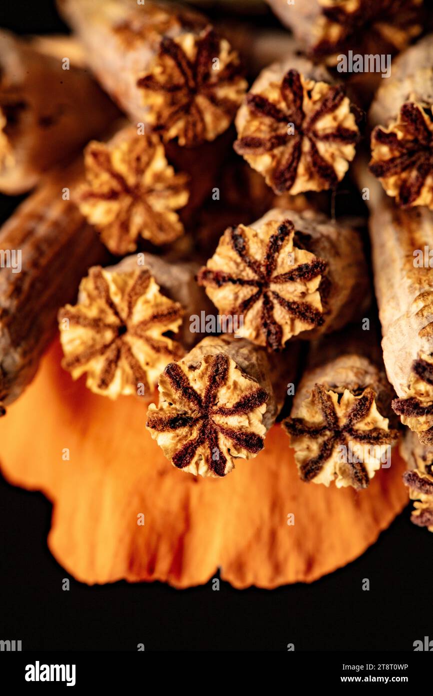 Poppy Shell Poster ready very close up nature still life showing natural texture ...