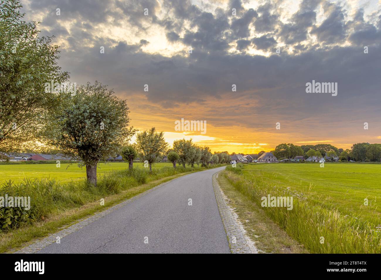 Dutch Village Landscape with Pollard Willows and old farms in the distance. Landscape scene of Nature in Europe. Weerribben, Overijssel, Netherlands. Stock Photo