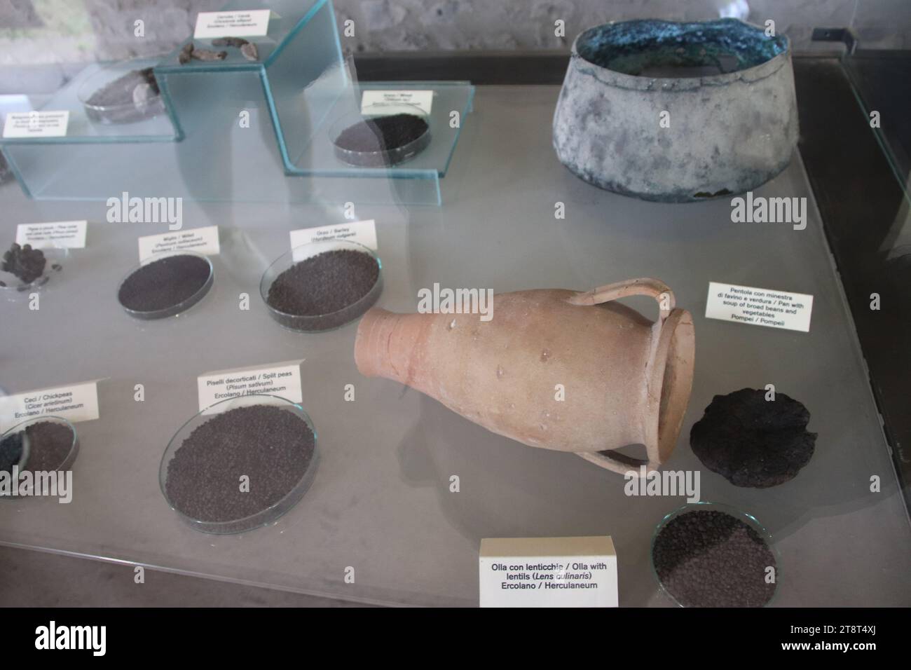 Pompeii Ruins: Exhibit of Preserved Food Items, Remains of Roman city buried by eruption of Mt. Vesuvius in 79 AD and excavated in modern times, Italy Stock Photo