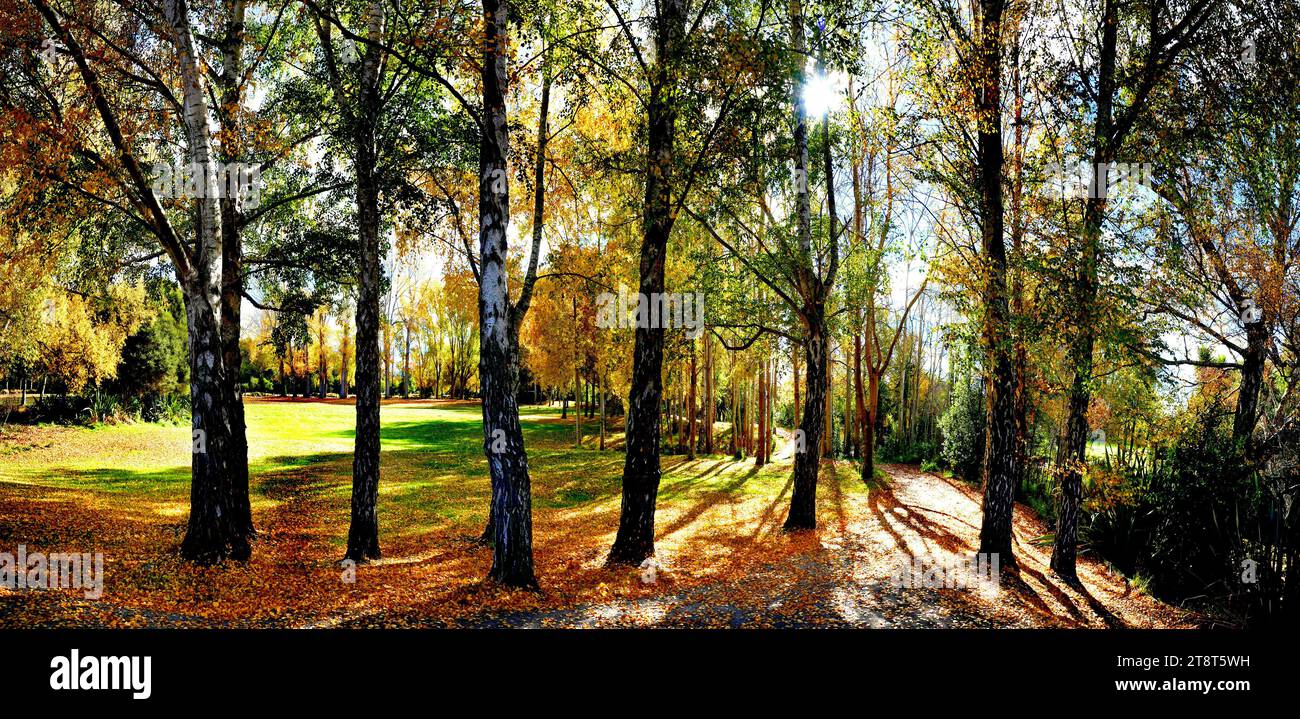 Changing seasons, North-east Christchurch, New Zealand is home to an abundance of flourishing reserve land to explore. Head north for the popular retreat of The Groynes, where youll discover a wealth of picnic spots, walking trails amid wildlife and lush greenery. Nature lovers will be in heaven at Styx Mill Conservation Reserve – home to an array of vegetation and birdlife to spot on its many walking tracks Stock Photo