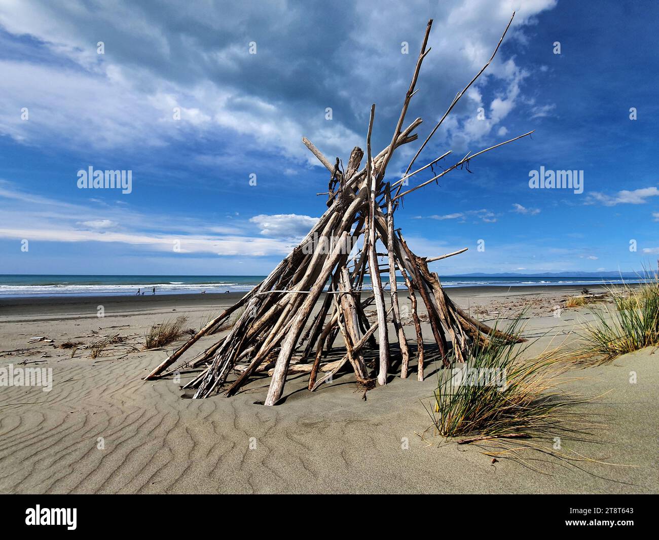 Grand designs Pegasus bay, Driftwood is wood that has been washed onto a shore or beach of a sea, lake, or river by the action of winds, tides or waves Stock Photo