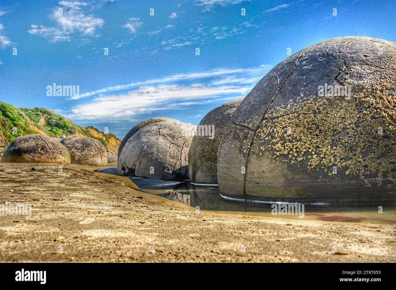Moeraki Boulders. HDR, The Moeraki Boulders / Kaihinaki are unusually large spherical boulders lying along a stretch of Koekohe Beach on the wave-cut Otago coast of New Zealand between Moeraki and Hampden. They occur scattered either as isolated or clusters of boulders within a stretch of beach where they have been protected in a scientific reserve. These boulders are grey-colored septarian concretions, which have been exhumed from the mudstone and bedrock enclosing them and concentrated on the beach by coastal erosion Stock Photo