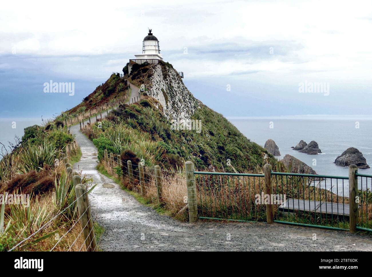 Nugget Point Lighthouse, The 10-metre Nugget Point lighthouse stands 76 metres above sea level on a point close to the nugget rocks. First lit in 1870, the lighthouse was automated in 1988 Stock Photo