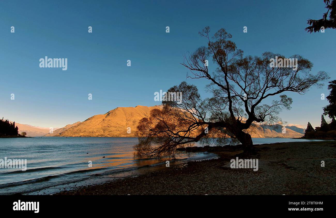 Evening Queenstown Otago, Queenstown is a resort town in Otago in the ...