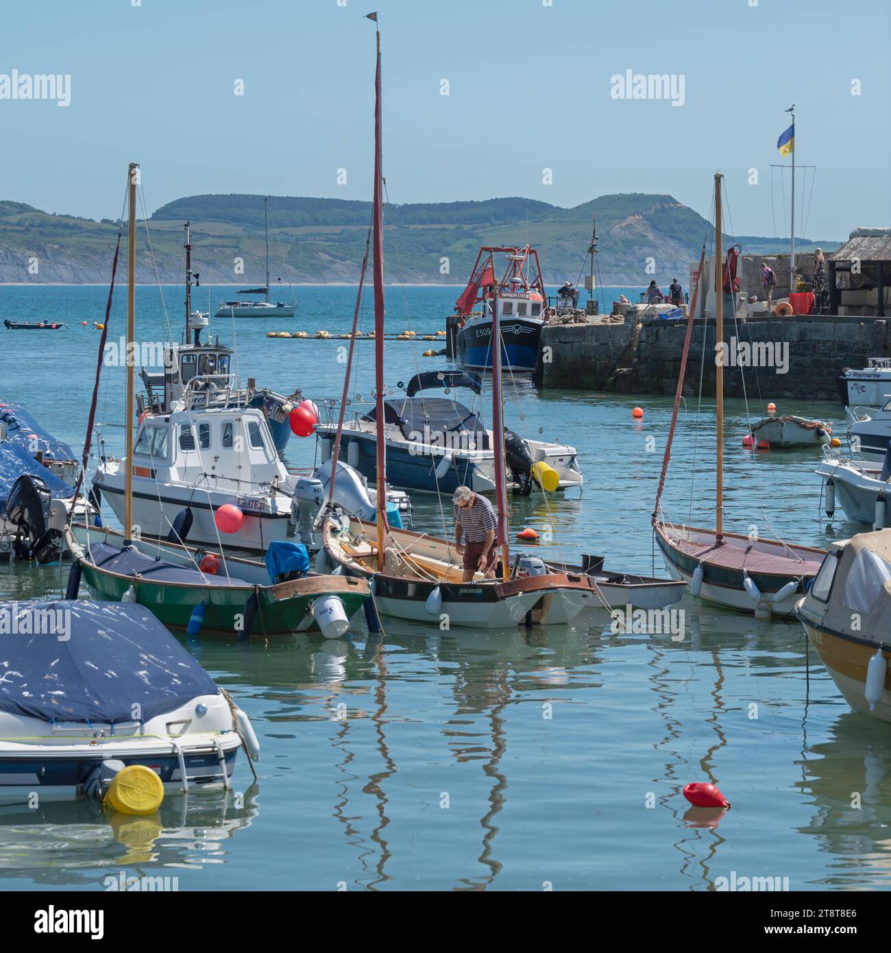 Pleasure and leisure craft at their moorings in The Cobb on a bright summers day at Lyme Regis, Dorset, England, UK. Stock Photo