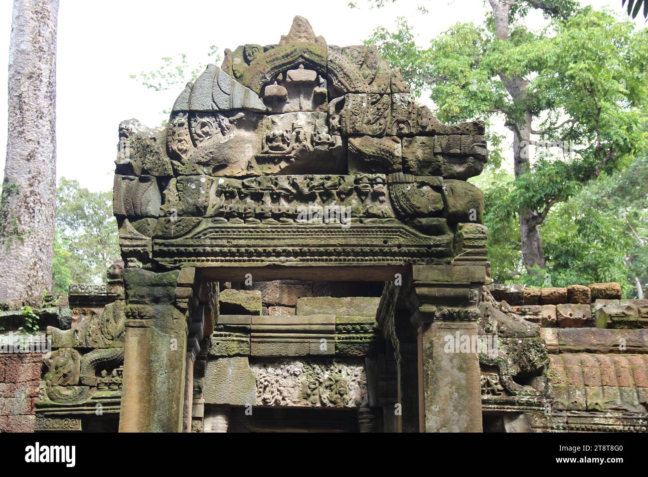Ta Prohm, Khmer temple, ancient Angkor area, Cambodia. Reign of