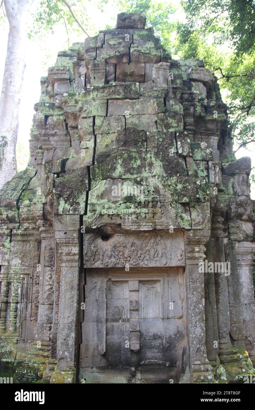 Ta Prohm, Khmer temple, ancient Angkor area, Cambodia. Reign of