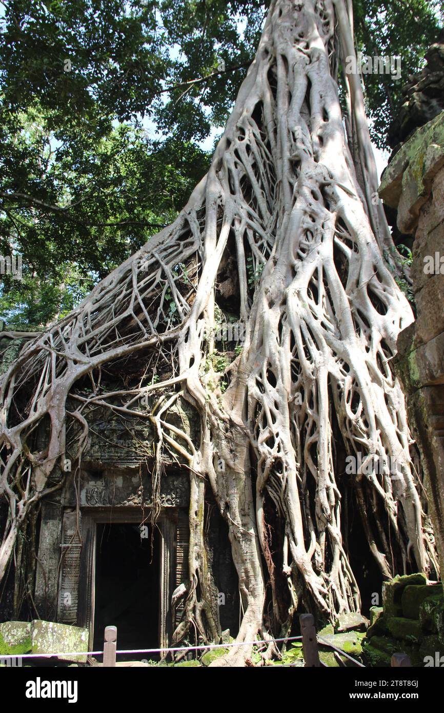 Indravarman ii hires stock photography and images Alamy