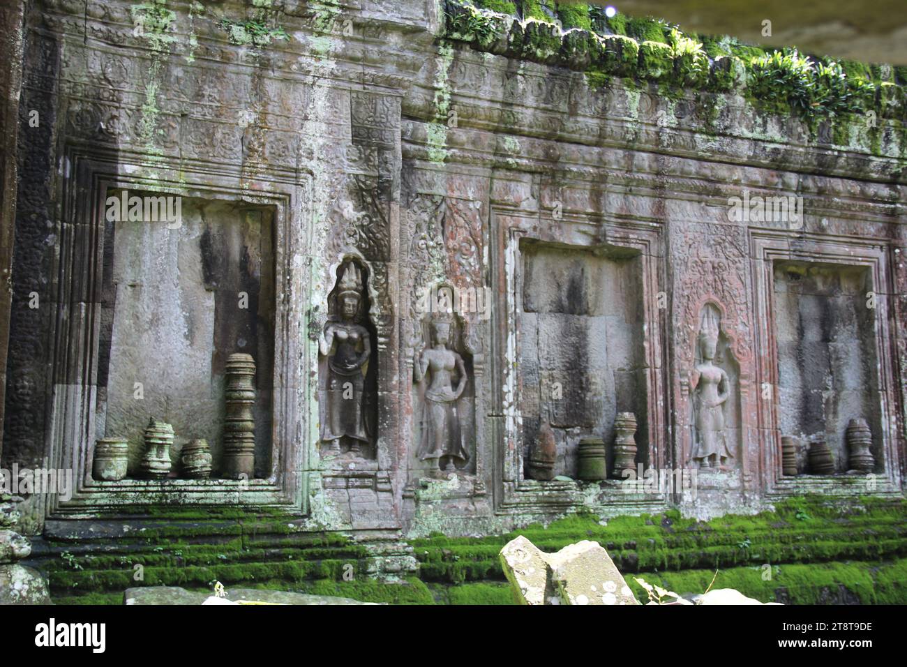 Ta Prohm, Khmer temple, ancient Angkor area, Cambodia. Reign of