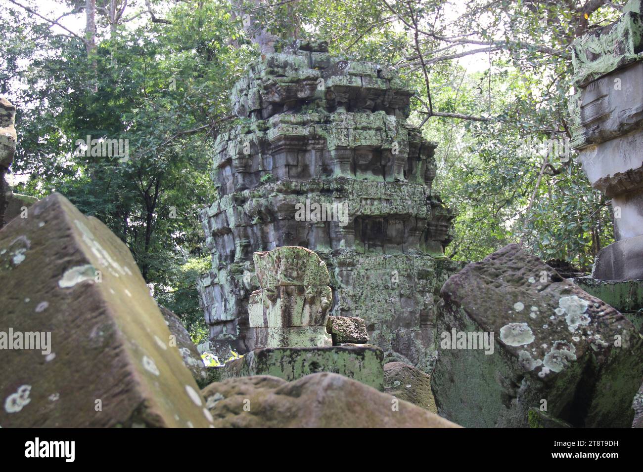 Ta Prohm, Khmer temple, ancient Angkor area, Cambodia. Reign of
