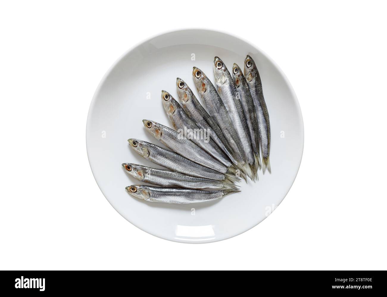 European anchovy, hamsa fresh, source of omega 3, several small fish