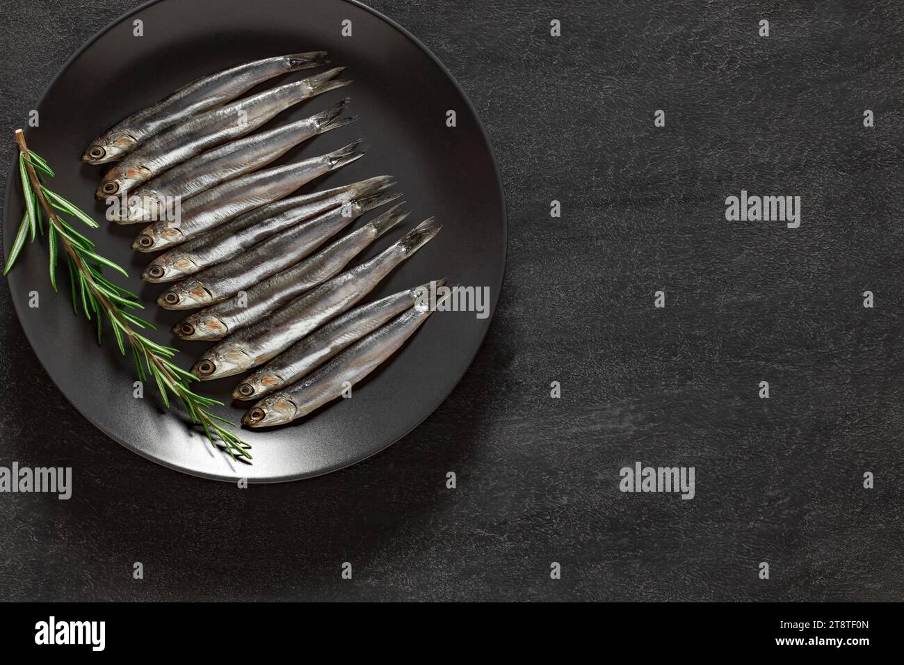 Anchovy european, hamsa fresh, several small fish on gray plate