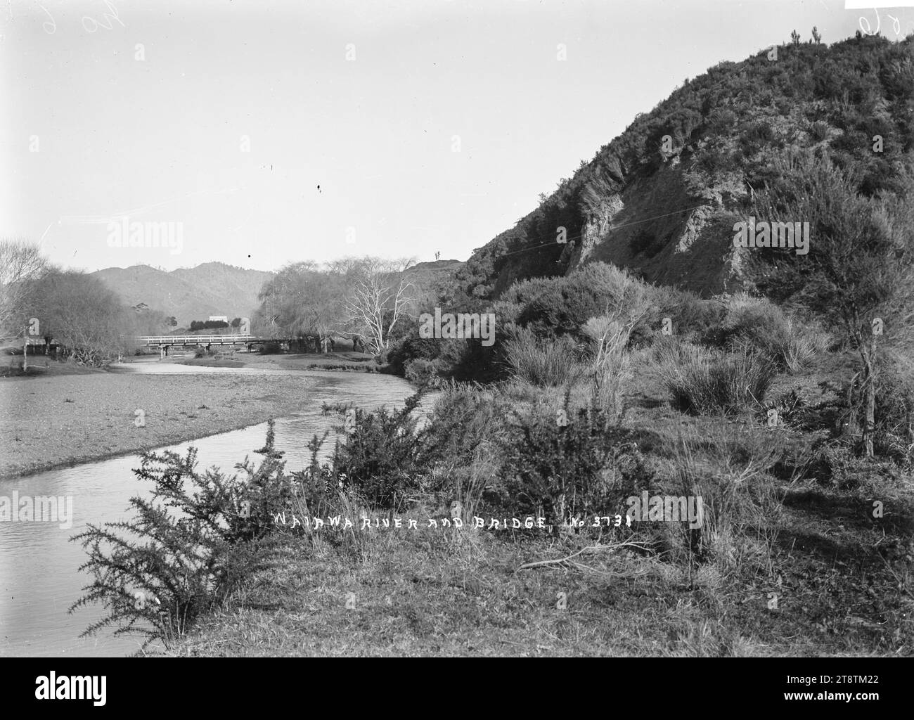Waiaua River and bridge, Bay of Plenty, View of the river with the road bridge in the middle distance in early 1900s Stock Photo