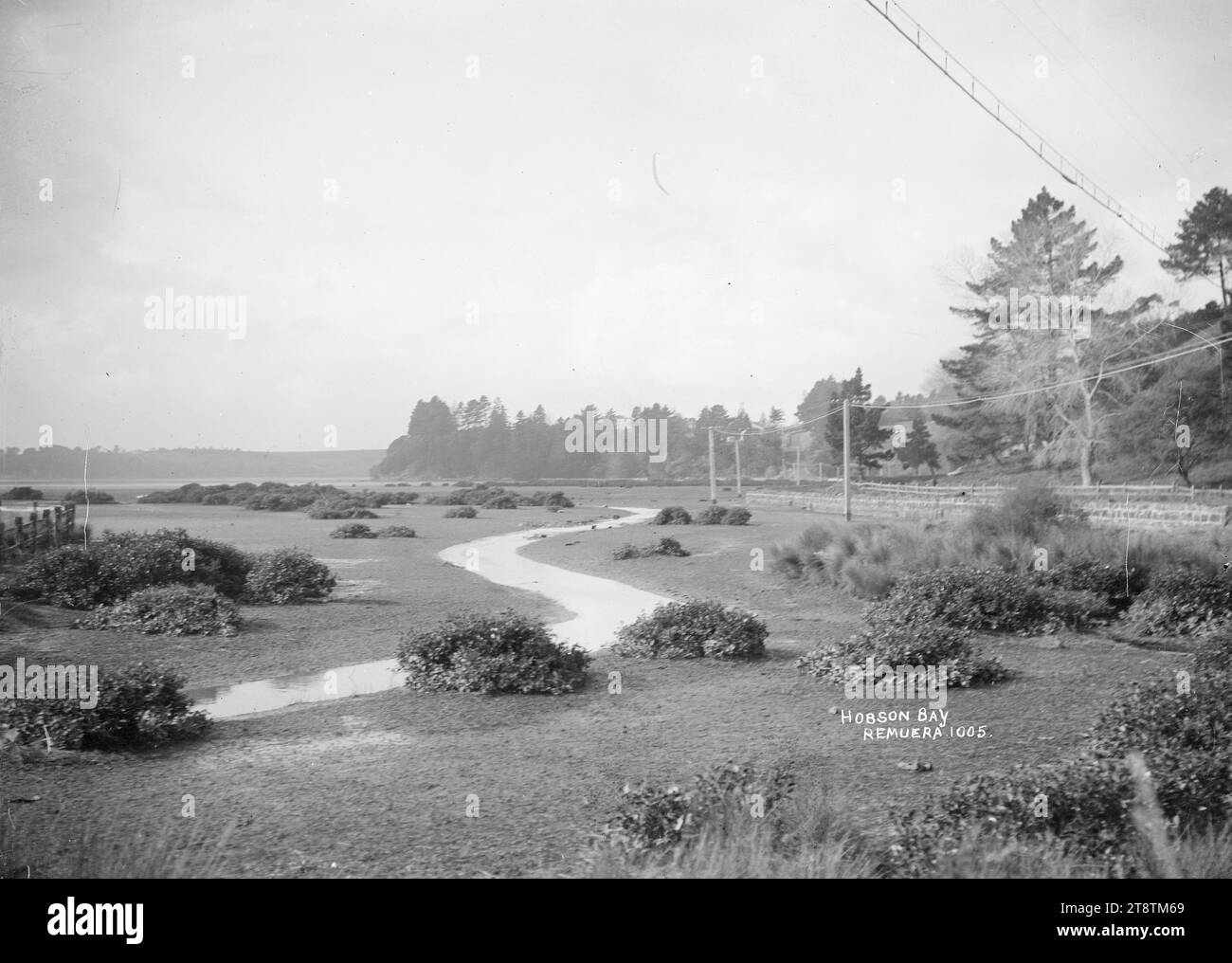 Hobson Bay, Remuera, Auckland, New Zealand, View of the tidal area near ...