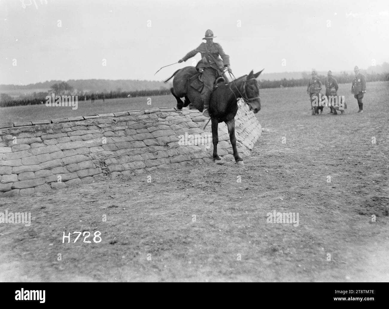 A mule jumper at a New Zealand Divisional sports competition, Authie, A remarkable mule jumper clearing the same jump as horses in the jumping contest at the New Zealand Divisional sports held at Authie, France during World War I. Photograph taken 23 July 1918 Stock Photo