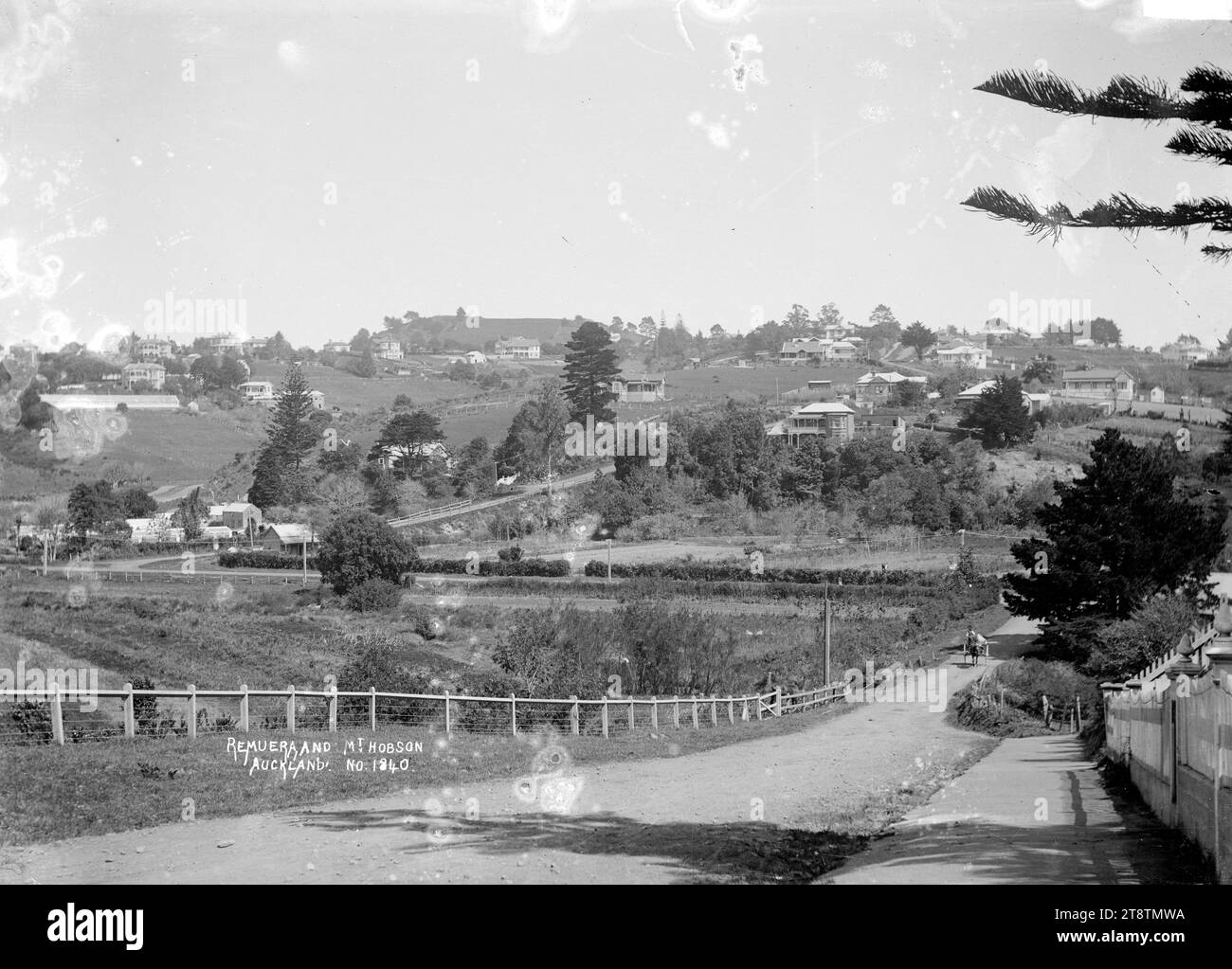 View of Remuera taken from vicinity of Brighton Road, Parnell looking towards Mount Hobson, View of Remuera with Mount Hobson on the horizon possibly taken from the vicinity of Brighton Road. Shore Road is in the middle distance with Seaview Road running off it up the hill. A horse and cart can be seen on the right coming up Brighton Road towards the photographer. Taken in early 1900s Stock Photo