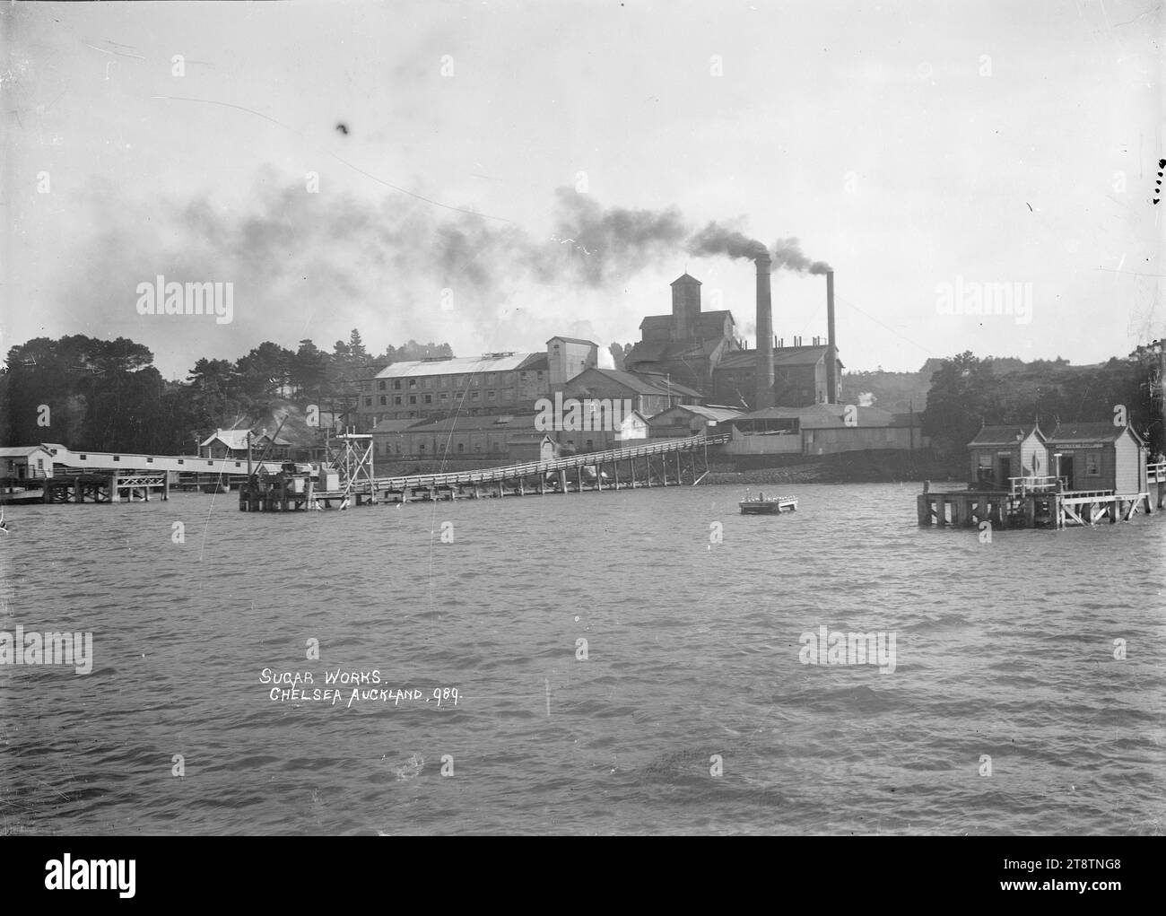 Colonial Sugar Company works at Chelsea, Birkenhead, Auckland, New