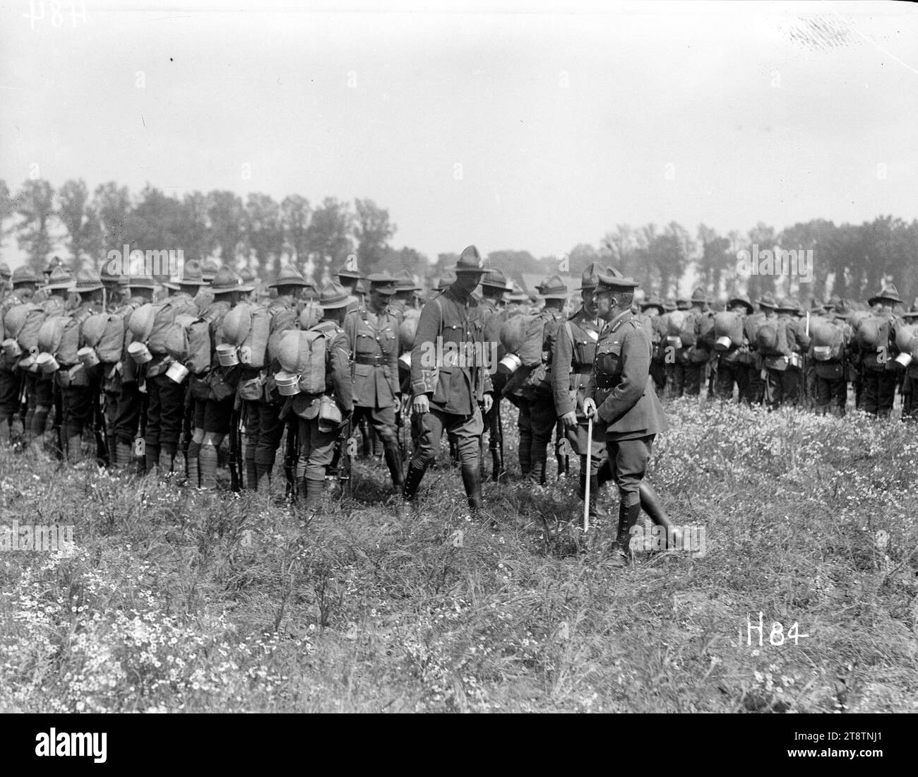 General Russell inspects troops, General Russell, Commander New Zealand Division, inspects members of 2nd Infantry Brigade. Russell, at end of line, is closest to camera with rear view of soldiers. Photograph taken 24 June 1917 Stock Photo