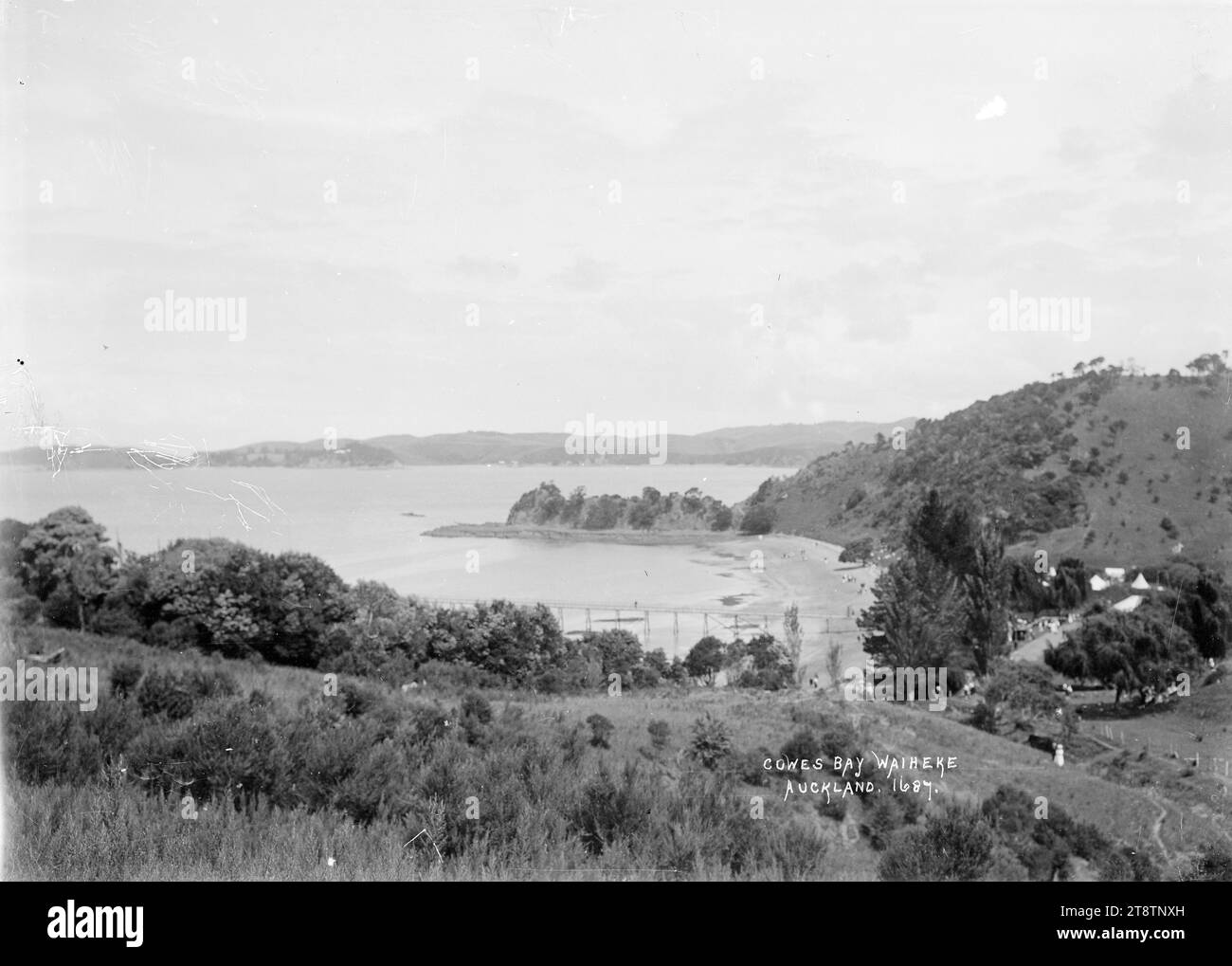 General view of Cowes Bay, Waiheke Island, View of Cowes Bay at low tide taken from a high vantage point to the north of the bay looking south along the bay with Ponui Island is the distance. The wharf can be seen in the middle distance. Tents are visible amongst the trees on the righthandside. People are on the beach and on the grassy slope in the foreground. Photographed in early 1900s Stock Photo