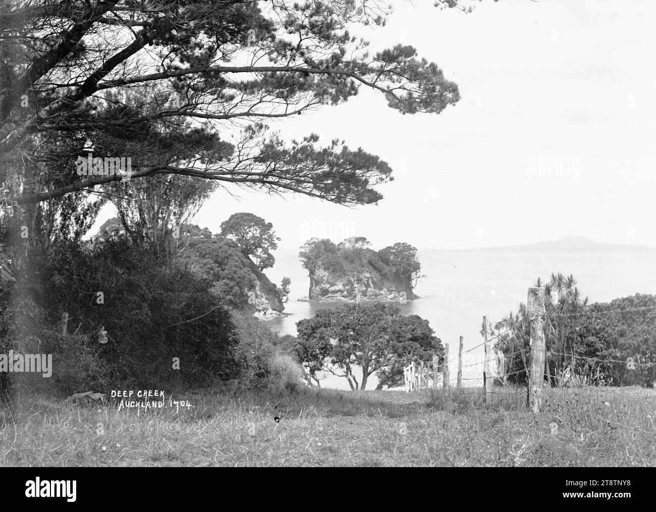 The Tor, Waiakae Beach, Torbay, View looking east with The Tor in the
