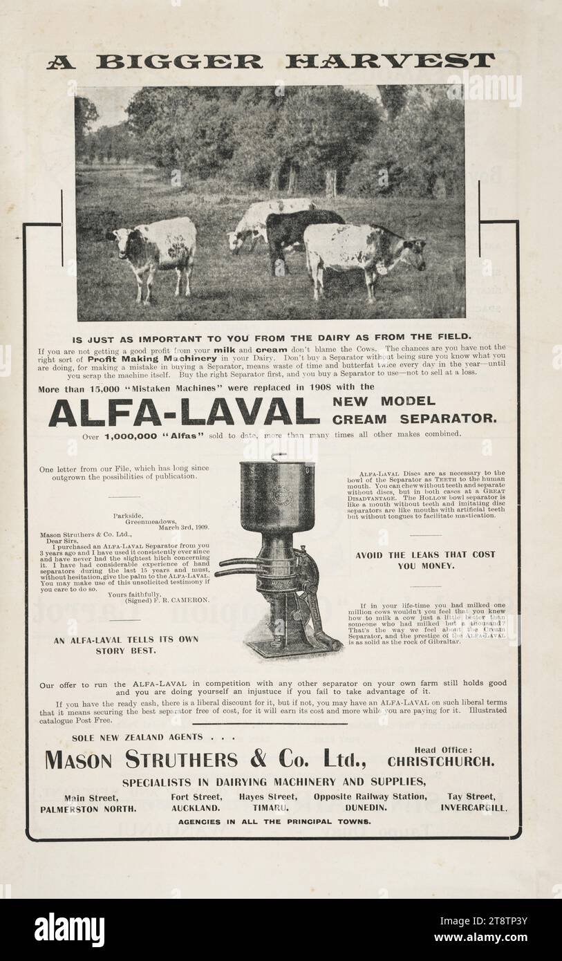 Mason Struthers & Company Ltd: A bigger harvest .. more than 15,000 'mistaken machines' were replaced in 1908 with the Alfa-Laval new model cream separator. Over 1,000,000 'Alfas' sold to date, more than many times all other makes combined. Sole New Zeal, Advertisement for the Alfa-Laval cream separator shows at the top of the page a photograph of four cows in a paddock. Text elaborates on the merits of the Alfa-Laval separator and reproduces a testimonial letter from F R Cameron of Greenmeadows, dated 3rd March 1909. Stock Photo