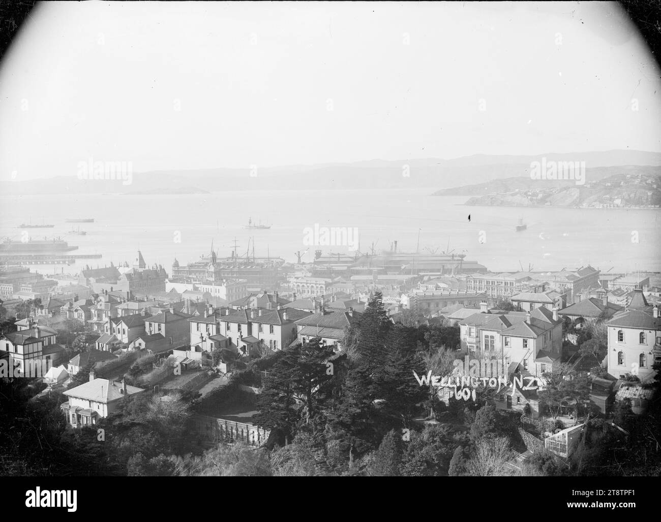 View of Wellington, New Zealand taken from Kelburn looking east, View across Wellington, New Zealand, taken from Kelburn, with the houses along The Terrace in the middle distance. The wharves and ships in the harbour are in the middle distance. Somes Island can be seen on the left in the far distance. Oriental Bay is on the right. Photograph taken between 1910 and 1930 Stock Photo