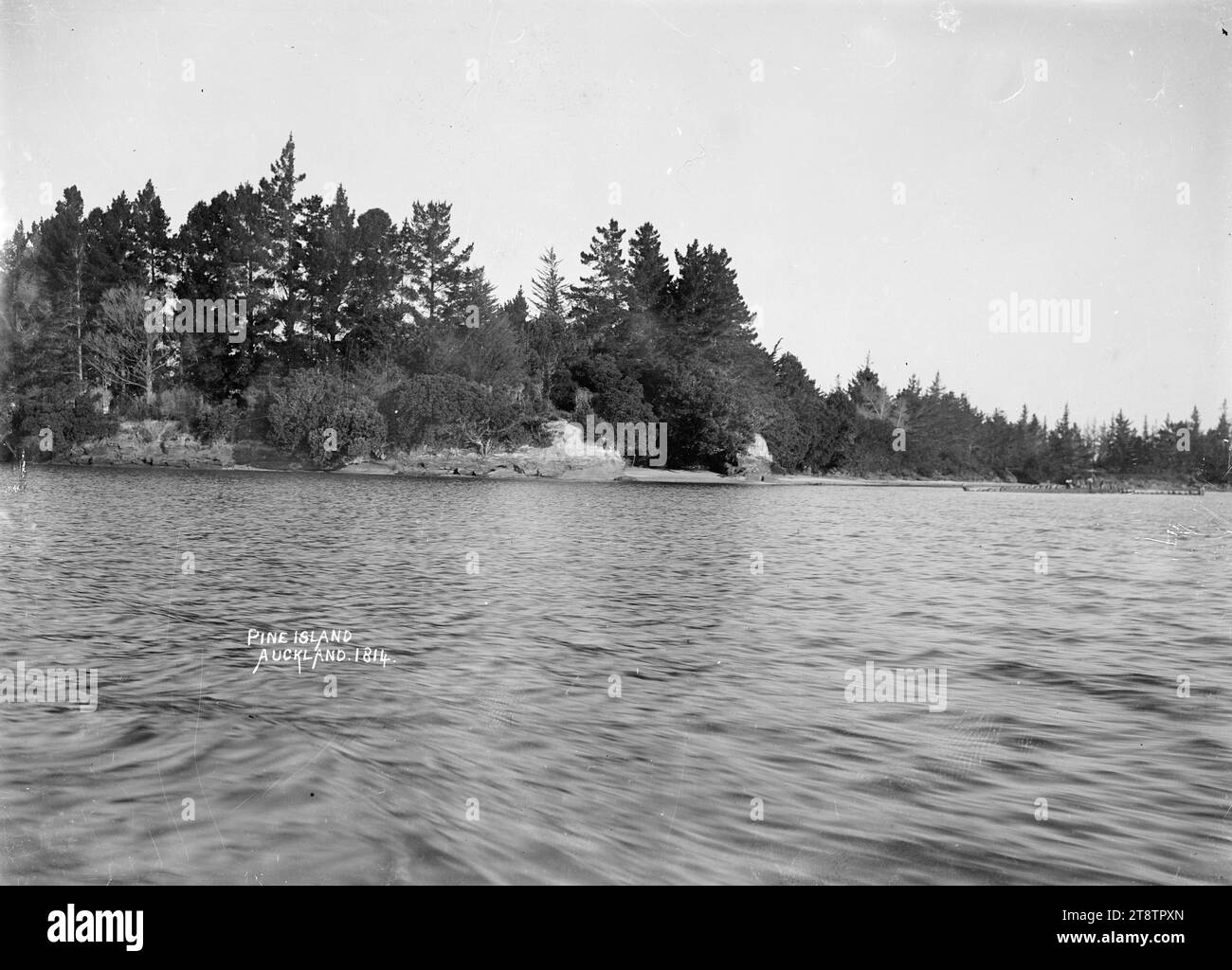 Pine Island, Auckland, New Zealand, View of Pine Island (later known as ...