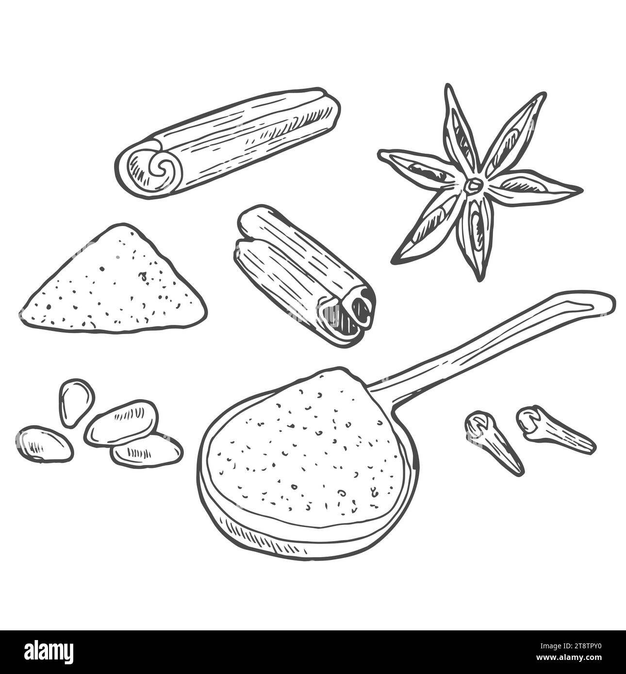 Cinnamon sticks and star anise are hand drawn. Textured whole cinnamon pods and anise flowers in doodle style. Isolated vector illustration Stock Vector